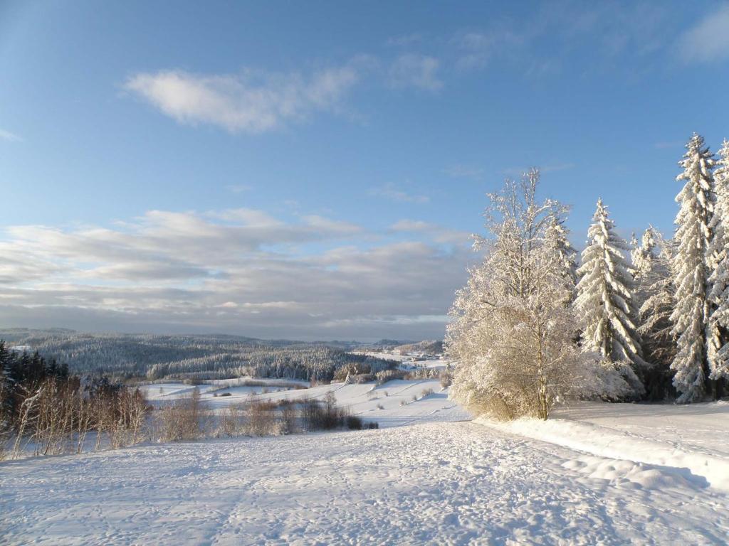 Hotel Prinzenhof Gross Gerungs Zewnętrze zdjęcie
